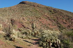photo thumbnail #7