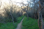 photo thumbnail #9