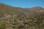 photo thumbnail #12