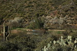 photo thumbnail #13