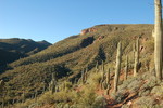 photo thumbnail #6