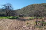 photo thumbnail #9
