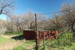 photo thumbnail #10