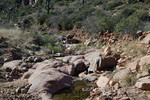 photo thumbnail #13