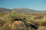 photo thumbnail #5