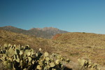 photo thumbnail #7