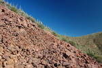 photo thumbnail #14