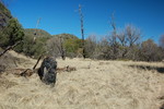 photo thumbnail #9