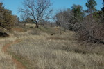 photo thumbnail #12