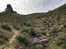 photo thumbnail #8