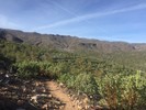 photo thumbnail #7