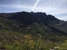 photo thumbnail #8