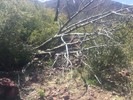 photo thumbnail #10