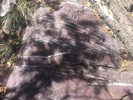 photo thumbnail #13