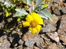 photo thumbnail #15