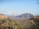 photo thumbnail #7