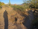 photo thumbnail #8
