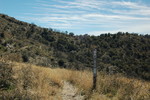 photo thumbnail #8