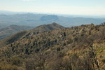 photo thumbnail #10
