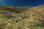 photo thumbnail #12