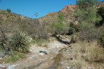 photo thumbnail #14