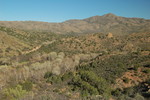 photo thumbnail #6