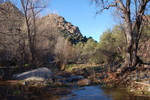 photo thumbnail #8