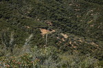 photo thumbnail #13