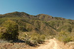 photo thumbnail #15