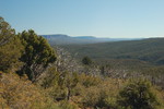 photo thumbnail #11