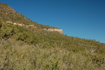 photo thumbnail #12