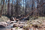 photo thumbnail #15