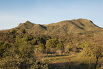 photo thumbnail #2