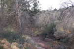 photo thumbnail #11