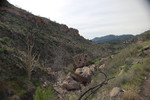 photo thumbnail #13