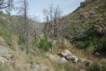 photo thumbnail #14