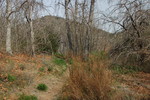 photo thumbnail #15