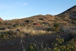 photo thumbnail #3