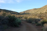 photo thumbnail #4