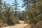 photo thumbnail #6