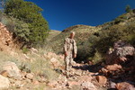 photo thumbnail #4