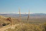 photo thumbnail #8