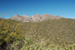 photo thumbnail #4