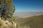 photo thumbnail #5