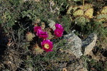 photo thumbnail #12