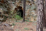 photo thumbnail #14