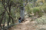photo thumbnail #5