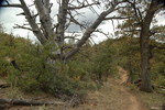 photo thumbnail #6