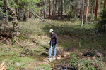 photo thumbnail #7