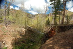 photo thumbnail #8